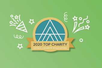 Fundacja Alberta Schweitzera z tytułem TOP CHARITY 2020