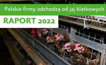 Raport o postępach w wycofywaniu jaj klatkowych w Polsce