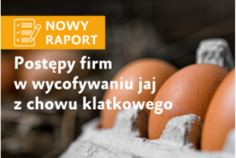 Prawie ⅓ jaj pakowanych w Polsce nie pochodzi od kur w klatkach