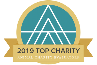 Fundacja Alberta Schweitzera z nagrodą TOP CHARITY 2019