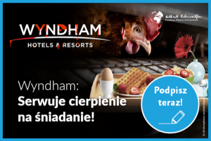 Petycja: Wyndham – wycofaj jaja z chowu klatkowego!