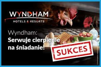Koniec jaj klatkowych w Wyndham!